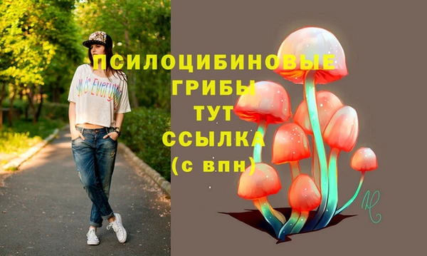прущий лед Армянск