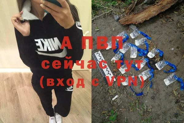 apvp Арсеньев