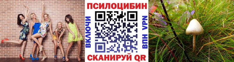 Галлюциногенные грибы мухоморы  площадка состав  Видное 
